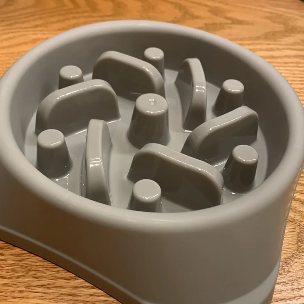 Maze slow eater dog bowl